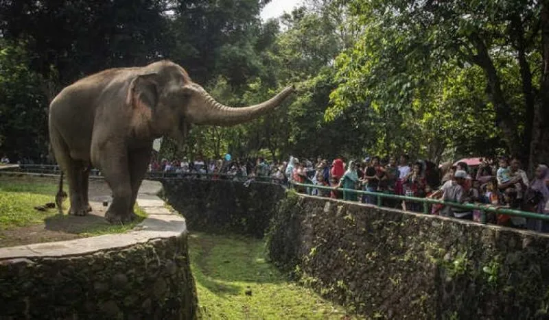 Taman Margasatwa Ragunan (Dok.PMJNews)