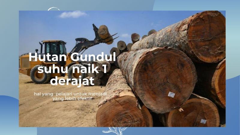 Indonesia Jadi Salah Satu Negara Pembabat Hutan Terbanyak  ,Foto news.detik.com