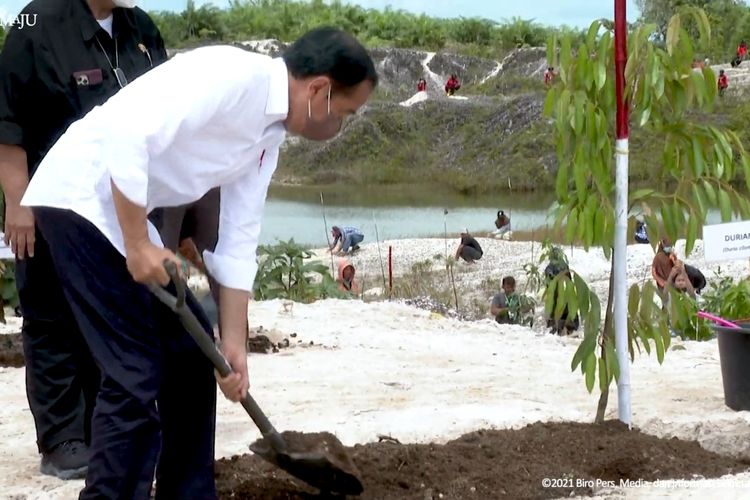 Presiden Jokowi tanam pohon di lokasi bekas tambang emas (Setpres)
