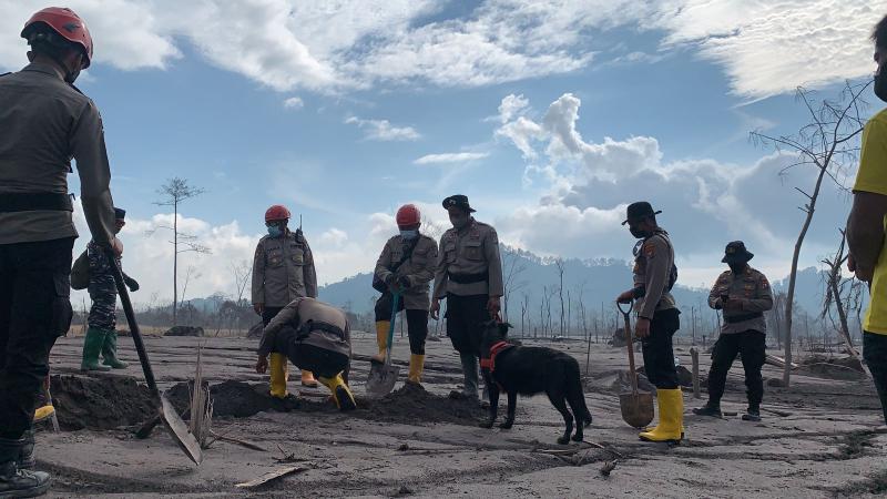Suasana pencarian korban erupsi Gunung Semeru (dok. BNPB)