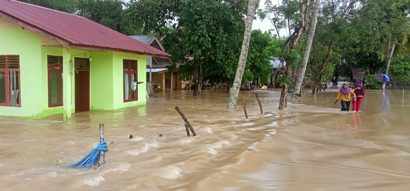 Banjir di Kabupaten Aceh Timur (Dok. BNPB)