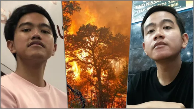 Jejak Anak Usaha PT SM: Terbukti Bakar Hutan-Terkait Kaesang & Gibran. (Gelora).
