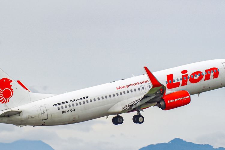 Pesawat Lion Air Boeing 737-800NG (Net)