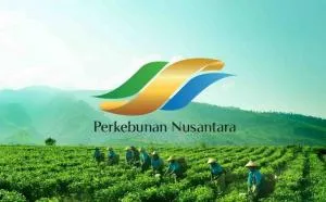 Cek Syaratnya, PTPN IV Buka Sejumlah Lowongan Kerja