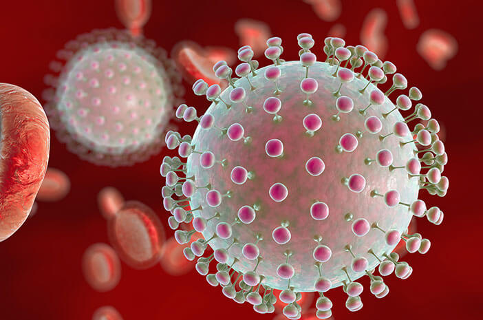 Ilustrasi virus mematikan yang baru ditemukan ilmuwan (halodoc)