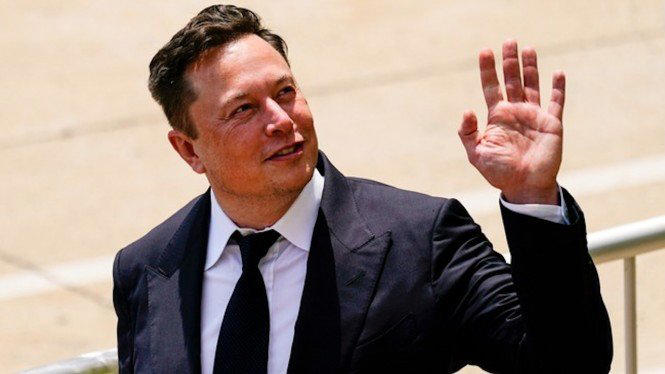 Elon Musk (The star)