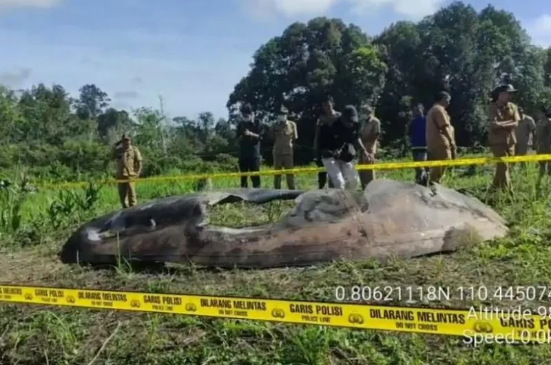 Puing roket China jatuh di daratan Kalimantan (Net)