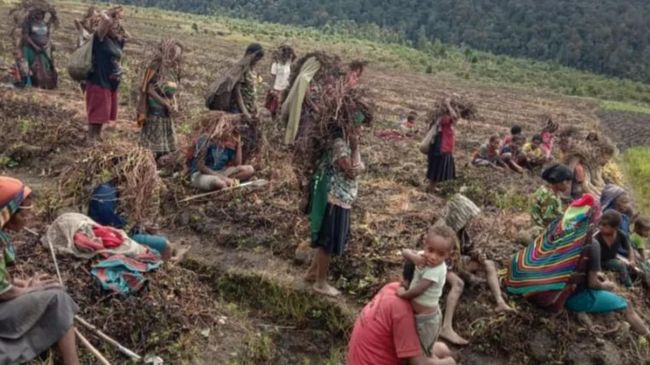 Pemkab Lanny Jaya Papua Tetapkan Status Tanggap Darurat Embun Beku (Foto: ANTARA/ HO - Humas BPBD Papua).