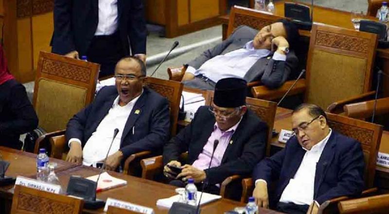 Anggota DPR RI (Net)