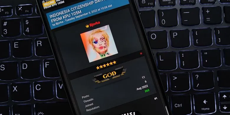 Hacker Bjorka (Kompas)