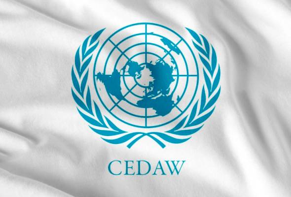 The Convention on the Elimination of All Forms of Discrimination against Women (CEDAW) (Net)