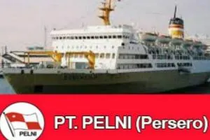 Lowongan Kerja PELNI 2026 Dibuka untuk Posisi Dokter dan Perawat
