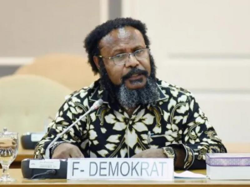 Anggota Komisi V DPR RI Dapil Papua Willem Wandik (Istimewa)