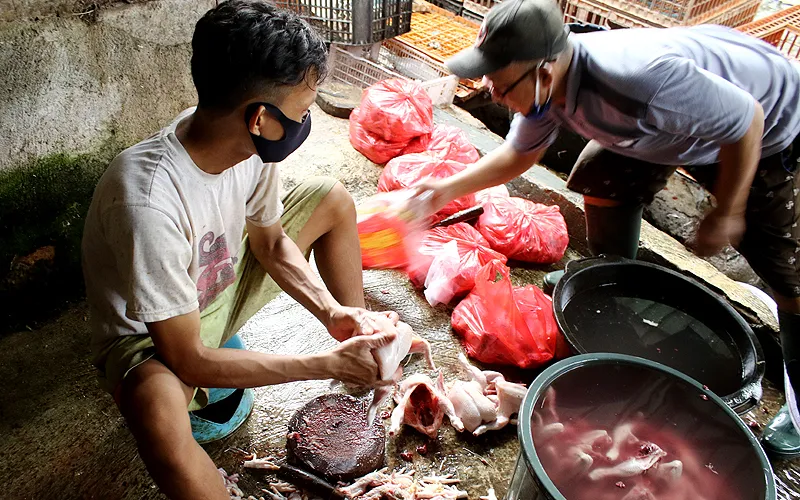 Jelang Nataru, Harga Ayam Potong Merangkak Naik. Menjelang perayaan Natal dan Tahun Baru, harga ayam potong mengalami kenaikan secara bertahap sejak dua pekan lalu. Saat ini harga ayam potong dijual Rp33.000-40.000 per kilogram. Robinsar Naingolan