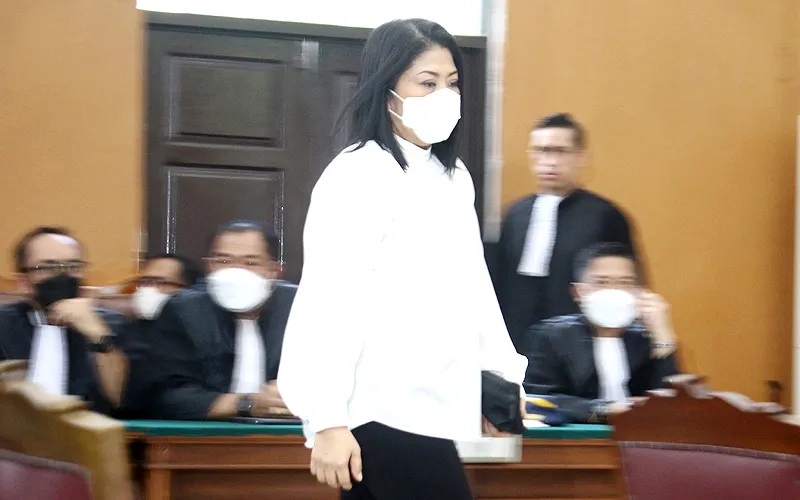 Majelis Hakim Pengadilan Negeri Jakarta Selatan (PN Jaksel), Senin (13/2/2023) menjatuhkan vonis hukuman penjara selama 20 tahun kepada Putri Candrawathi. Ketua Majelis Hakim, Wahyu Iman Santoso mengatakan, Putri telah terbukti terlibat dalam tindak pidana pembunuhan berencana terhadap Nofriansyah Yosua Hutabarat alias Brigadir J. Robinsar Nainggolan