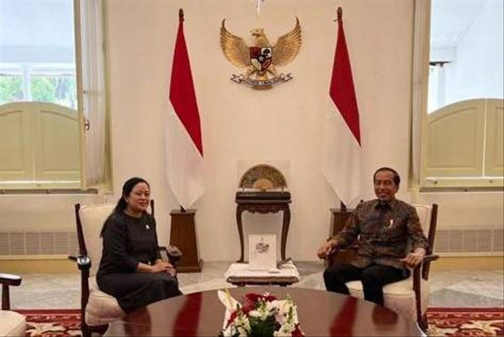 Puan Maharani bertemu Presiden Jokowi di Istana Negara (IG @puanmaharaniri)