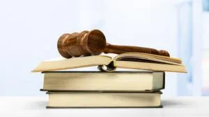 Kementerian LH Desak Green Financial Crime Masuk RUU Perampasan Aset