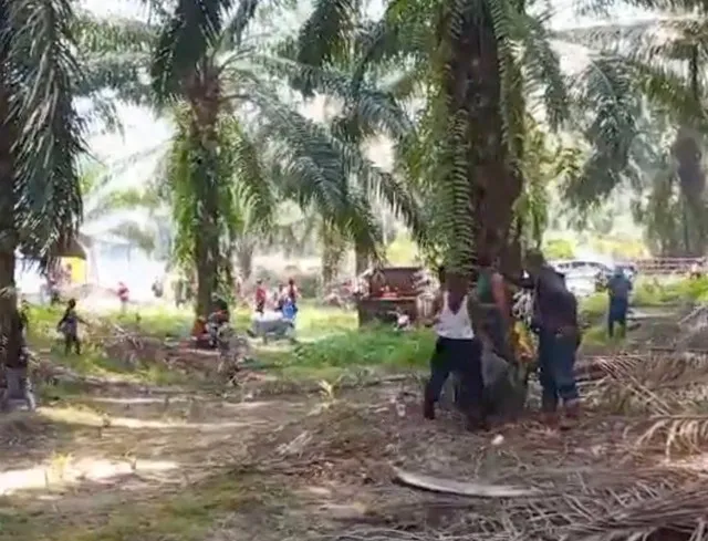 Tangkapan layar video saat polisi menembak untuk membubarkan demo yang ricuh di kawasan PT Hamparan Masawit Bangun Persada (HMBP), Kabupaten Seruyan, Kalimantan Tengah, Sabtu (7/10/2023).  Dok: Walhi.