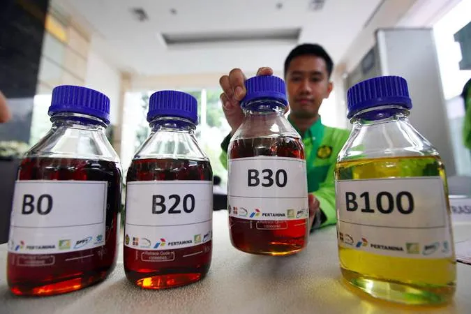 Petugas memperlihatkan contoh bahan bakar biodiesel saat peluncuran Road Test Penggunaan Bahan Bakar B30 (campuran biodiesel 30% pada bahan bakar solar) pada kendaraan bermesin diesel, di Jakarta, Kamis (13/6/2019)./Bisnis-Abdullah Azzam.