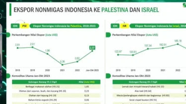 BPS: Ekspor Indonesia ke Israel Lebih Besar dari Ekspor Ke Palestina. (Istimewa).