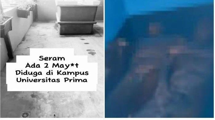 Heboh Penemuan 5 Mayat di Unpri Medan, Polisi Sempat Ditolak Kampus. (Video Viral).