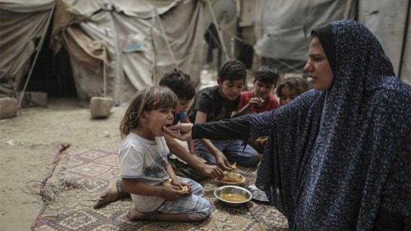 Akibat Krisis Makanan, Warga Gaza Disebut-sebut Terpaksa Makan Rumput. (blog.npc.id).