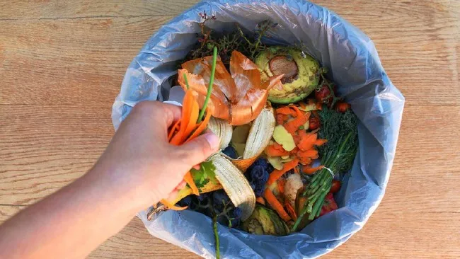 Ilustrasi sampah makanan (Dok.. (iStockphoto/Mukhina1)