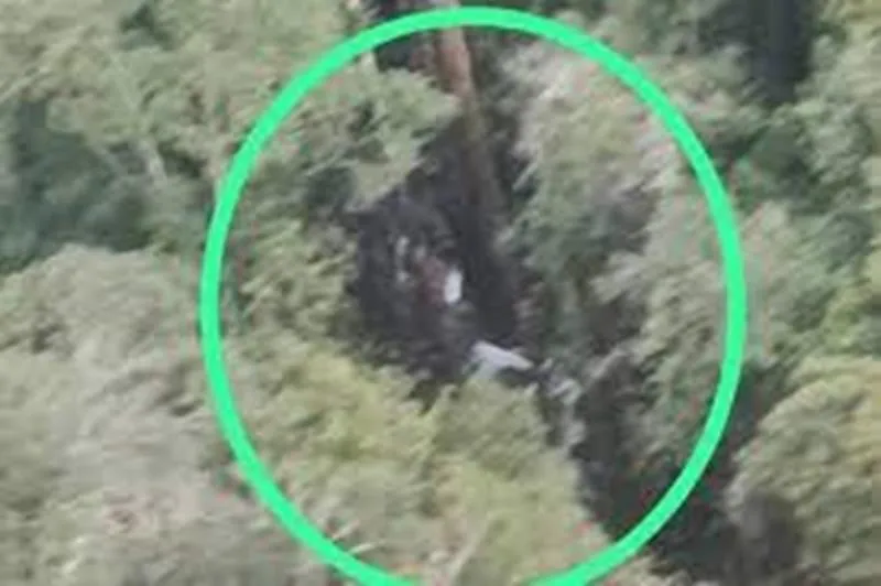 Ada Api Unggun di Lokasi, Korban Pesawat Smart Air Diduga Masih Hidup. (Istimewa).