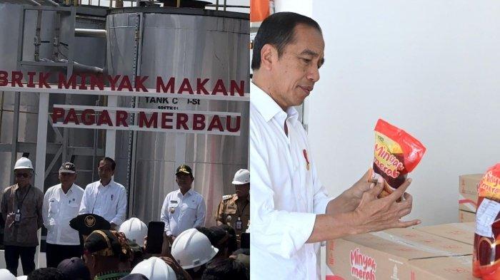 RI Tertinggal 20 Tahun dari Malaysia soal Produksi Minyak Makan Merah. (Kolase dari berbagai sumber).