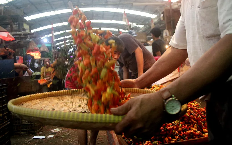 Buruh memetik cabai rawit merah di lapak pedagang agen Cabai, Pasar Induk Kramat Jati, Jakarta Timur. Buruh mengaku tingginya harga cabai rawit merah hingga Rp 100 ribu per kilo membuat pendapatan mereka sebagai buruh pemetik cabai meningkat di bulan ramadan dari biasanya, dari 30 kilogram cabai per hari menjadi 60 kilogram cabai per hari dengan upah Rp 2 ribu per kilogram cabai. Roabinsar Nainggolan