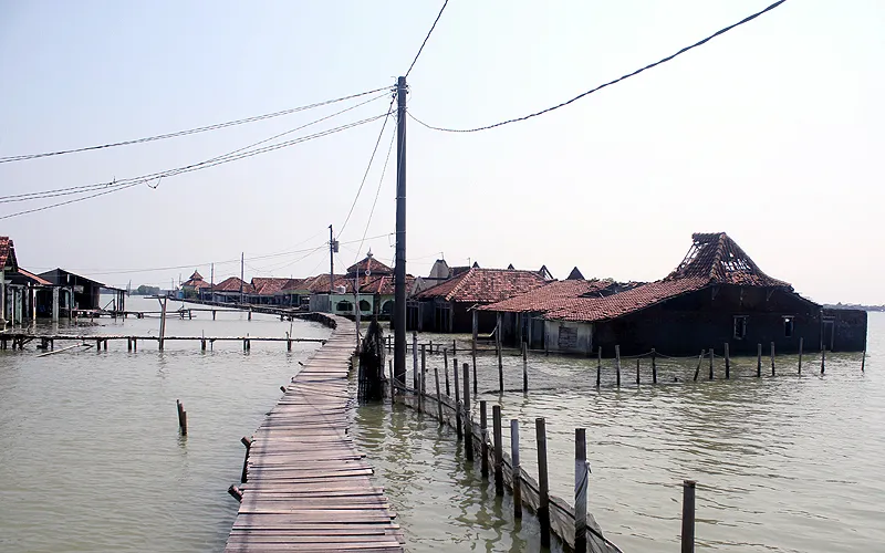 Desa Timbulsloko merupakan sebuah desa yang ada di pesisir Kabupaten Demak, Jawa Tengah. Kondisi permukiman di Desa Timbulsloko memang tidak biasa karena terdampak rob yang cukup parah. Hal ini terjadi akibat kenaikan permukaan air laut disertai penurunan permukaan tanah mencapai sekitar 10 sentimeter per tahun. Desa ini sudah terendam banjir rob selama 11 Tahun. Robinsar Nainggolan