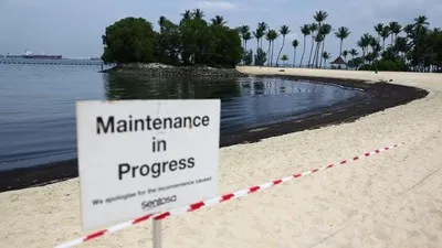 Pantai di Pulau Sentosa Singapura tercemar tumpahan minyak hitam pekat. (REUTERS/Edgar Su)