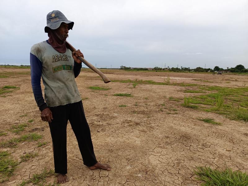 Seorang petani garapan di Kecamatan Mauk, Kabupaten Tangerang, yang kesulitan bertani karena lahan sawah telah diurug. Pengurugan sawah diduga terkait kepentingan PSN PIK 2. Foto: Rohman/Law-justice.