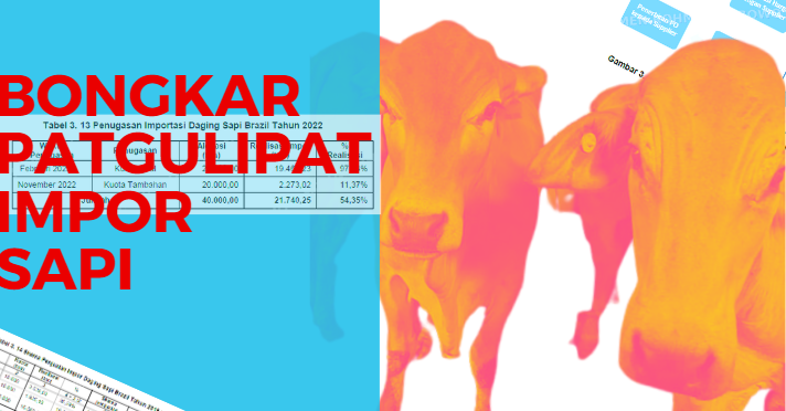 Ilustrasi: Bongkar Patgulipat Impor Daging. (ist)
