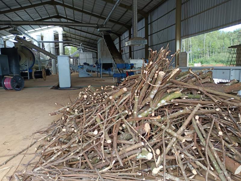 Sejumlah potongan kayu yang terdapat dalam pabrik biomassa di Waluran, Sukabumi. Foto: Rohman/Law-justice