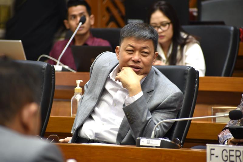 Wakil Ketua Komisi IV DPR RI Alex Indra Lukman (Istimewa)