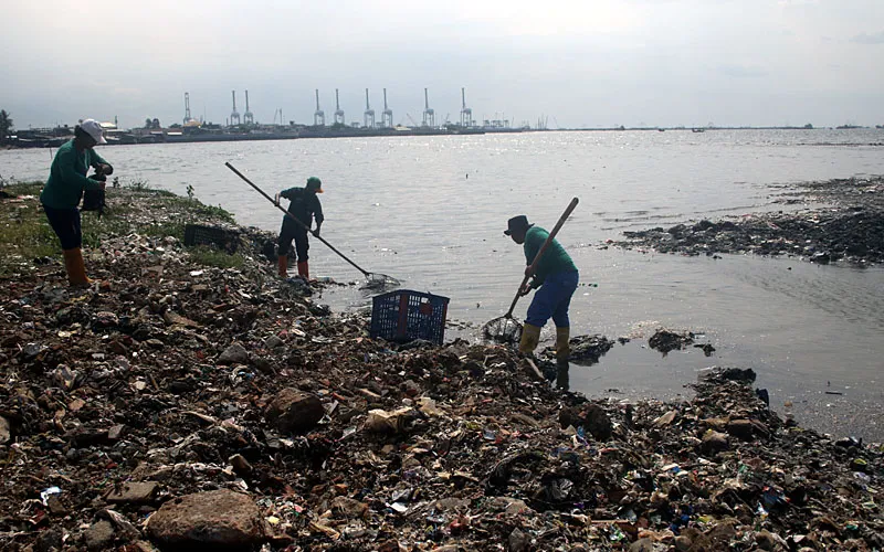 Petugas kebersihan mengumpulkan sampah di pesisir Marunda, Cilincing, Jakarta. Kementerian Kelautan dan Perikanan (KKP) mencatat sekitar 20 juta ton sampah mencemari laut Indonesia setiap tahun. Dari total 50 juta ton timbunan sampah di daratan, sebagian besar bermuara ke laut dan memicu kerusakan ekosistem serta penurunan populasi ikan di Laut Jawa. Robinsar Nainggolan