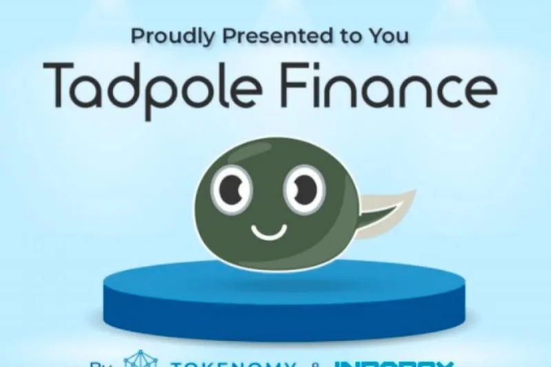 Sistem Pembiayaan Tadpole (Kecebong). Ist