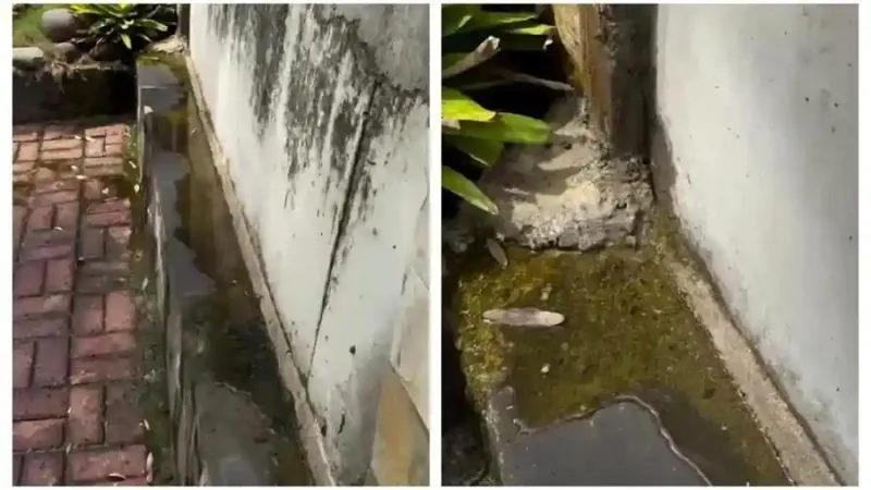 Pemprov DKI Lakukan Hal Ini soal Tanggul di Jakut yang Mengkhawatirkan. (Istimewa).