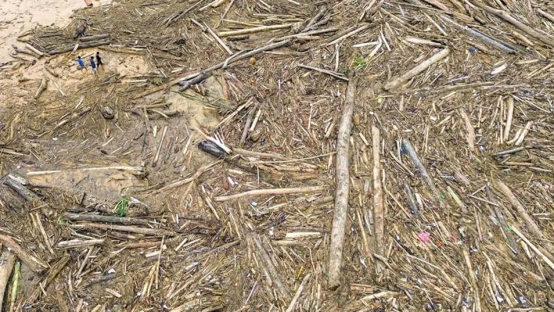 Rekam Deforestasi Brutal di Sumut, Citra Satelit Bantah Bobby. (Istimewa).