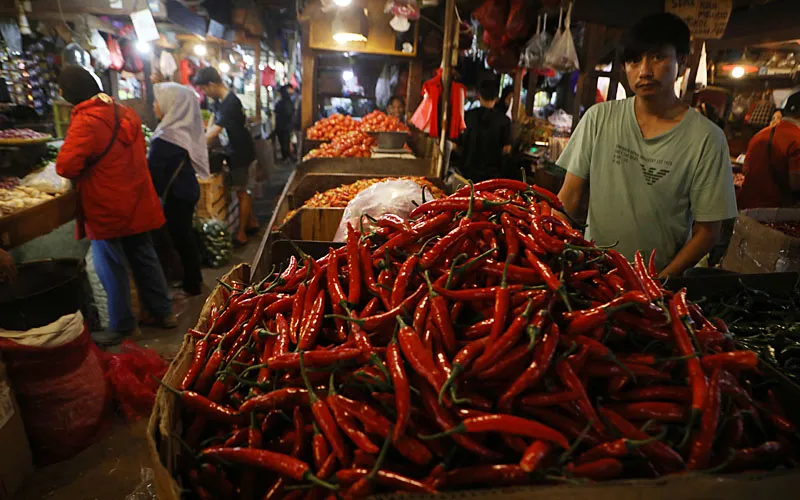 Berdasarkan data dari Pusat Informasi Harga Pangan Strategis Nasional (PIHPS), mayoritas komoditas di Pasar Senen mengalami kenaikan dalam empat hari terakhir. Cabai rawit merah terpantau menyentuh Rp 96.250 per kg dan rawit hijau kini berkisar Rp 63.050 per kg. Sementara bawang merah ukuran sedang terpantau stabil di angka Rp 49.700 per kg. Robinsar Nainggolan
