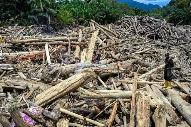 Warga desa memotong kayu-kayu yang hanyut akibat banjir bandang di Garoga, Provinsi Sumatra Utara, Kamis (4/12/2025). Gelondongan kayu tersebut berniat dimafaatkan oleh warga setempat sebagai material untuk membangun kembali rumah mereka yang rusak. (YT HARIONO / AFP)
