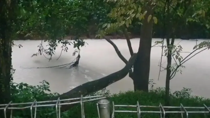 Air Kali Jaletreng, Tangerang Selatan, yang tercemar pestisida pada Senin (09/02). Air sungai berubah jadi putih dan banyak ikan ditemukan mati.(bbc)