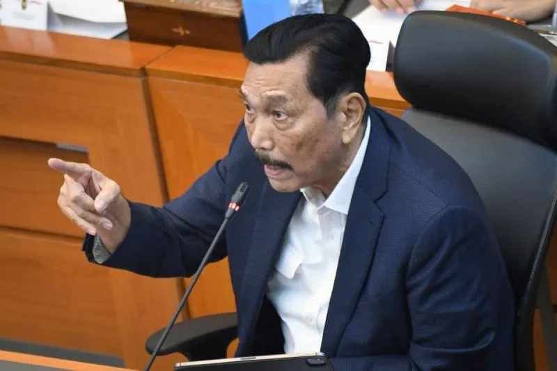 Luhut Binsar Pandjaitan (ANTARA FOTO/Aditya Pradana Putra)