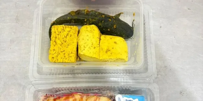 Heboh Menu Lele Mentah, SPPG Pamekasan Pademawu Dihentikan Sementara. (Istimewa).