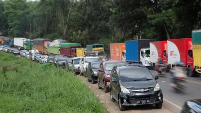 Jalur Lintas Jambi-Palembang Ditutup Akibat Macet Mengerikan. (Istimewa).