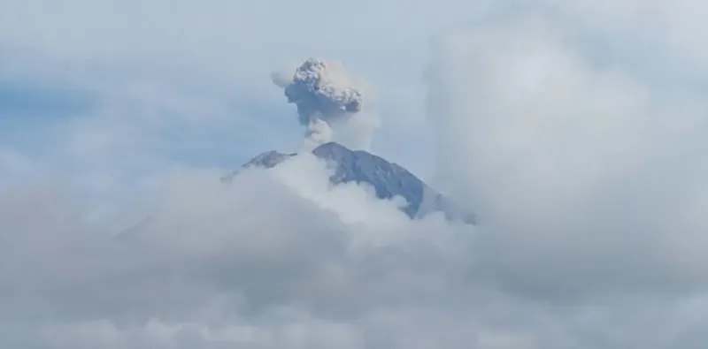 Gunung Semeru erupsi dengan tinggi letusan 700 meter di atas puncak pada Minggu (17/5/2026) pagi. (PVMBG via Antara)