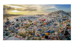 Ketika Negara Maju Kirim Sampah Plastik ke Negara Berkembang