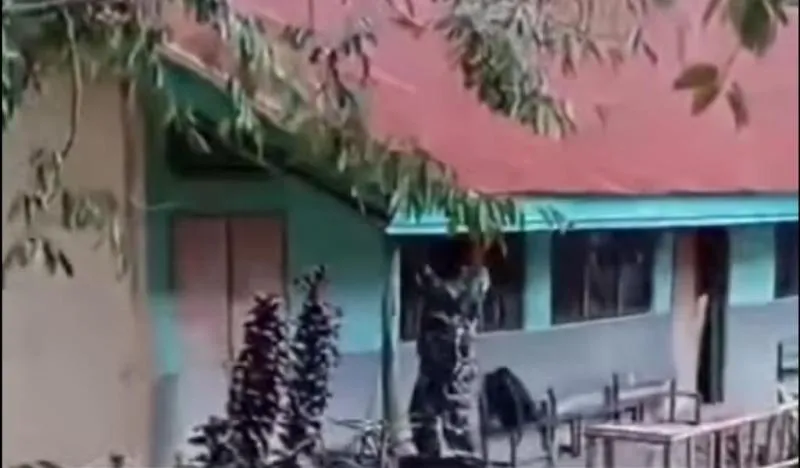 Respons TNI soal Video Viral Gusur Sekolah Demi Kopdes di NTT. (Istimewa).