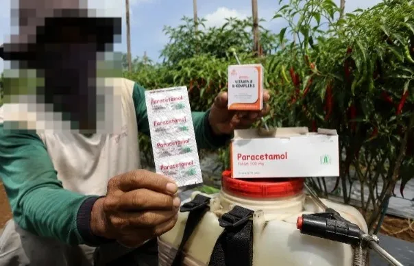 Respons Kementan soal Petani Pakai Paracetamol Buat Suburkan Tanaman. (Istimewa).